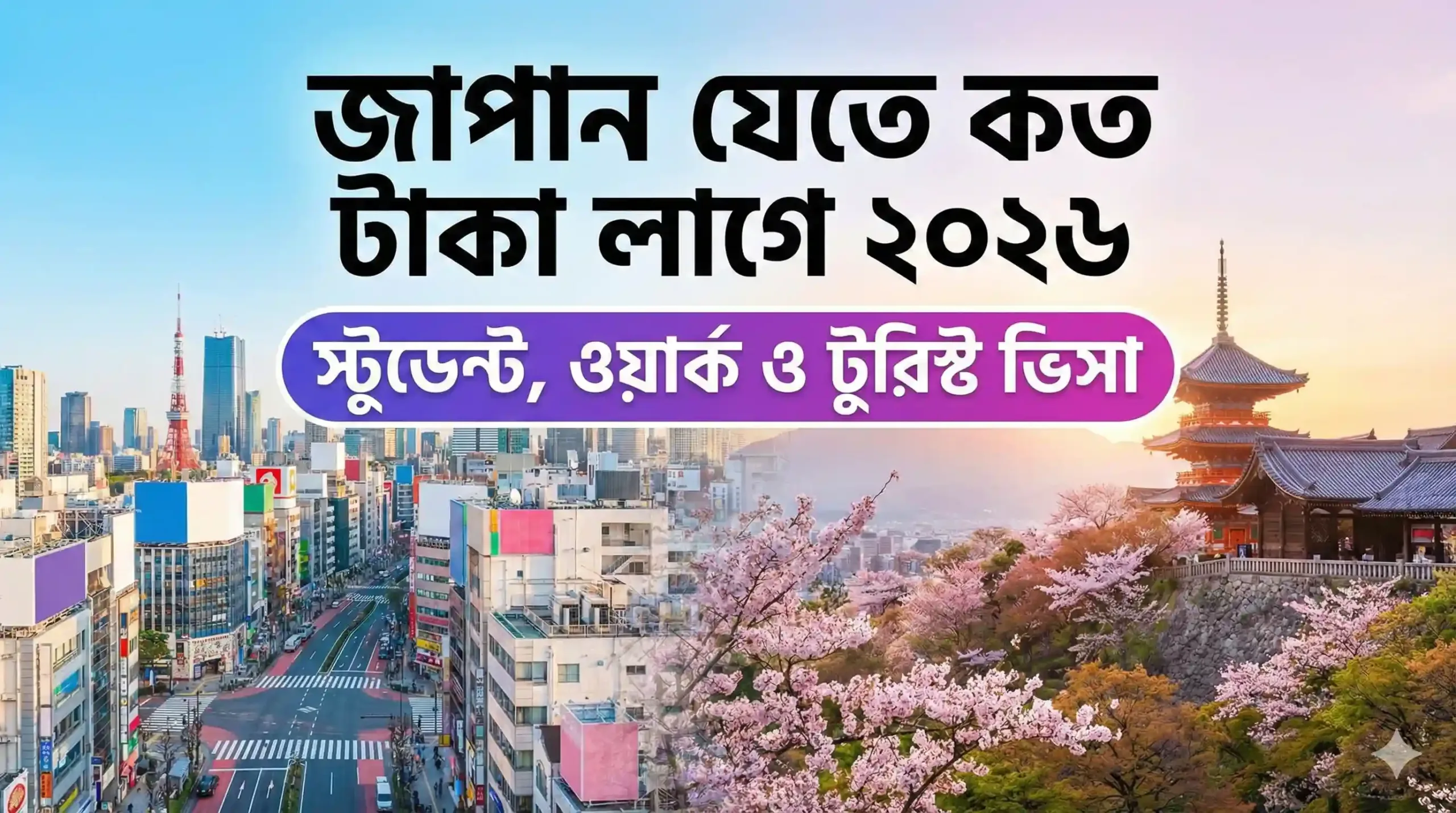 জাপান যেতে কত টাকা লাগে